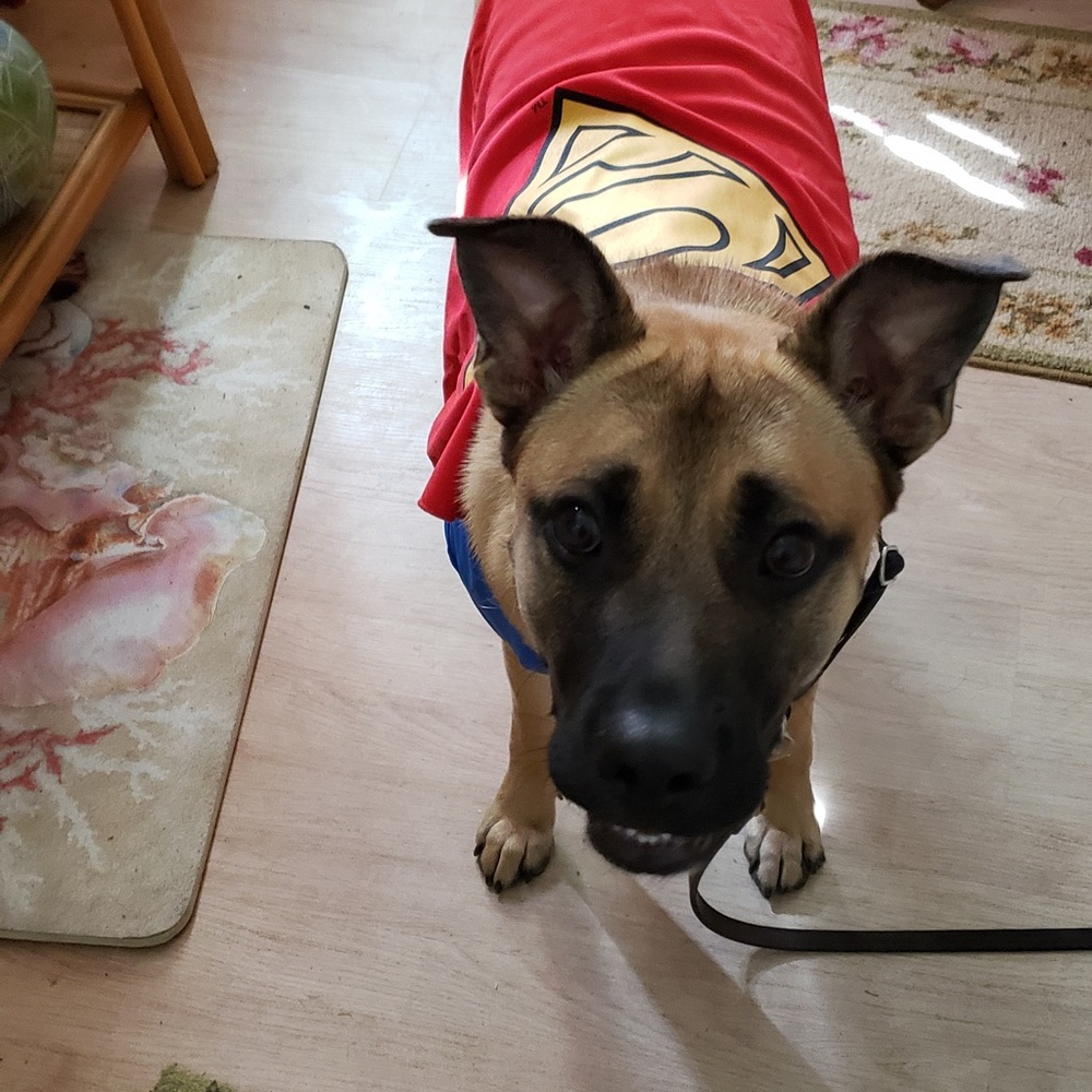 Meet your Posher, Jina Reduced shipping upon req